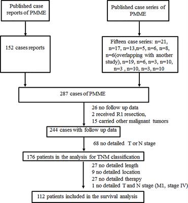 Clinicopathological Features, Staging Classification, and Clinical Outcomes of Esophageal Melanoma: Evaluation of a Pooled Case Series